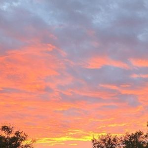 Meet your Posher, Tatiana